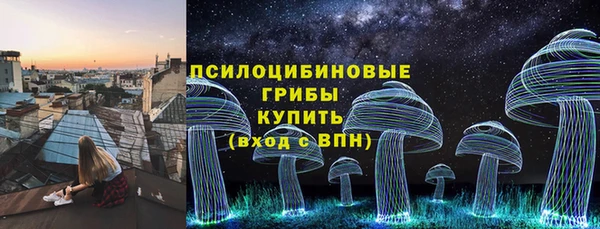 СК Алексин
