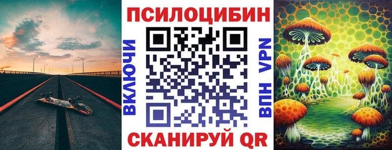 Псилоцибиновые грибы мухоморы  купить наркоту  нарко площадка официальный сайт  Севастополь 